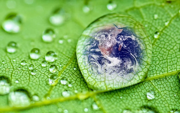 What Makes a Mattress Eco-Friendly?