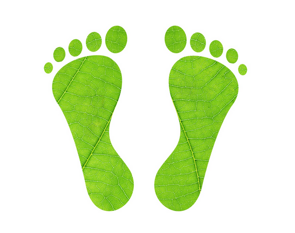 Sleeping Green: How Latex Mattresses Reduce Your Carbon Footprint