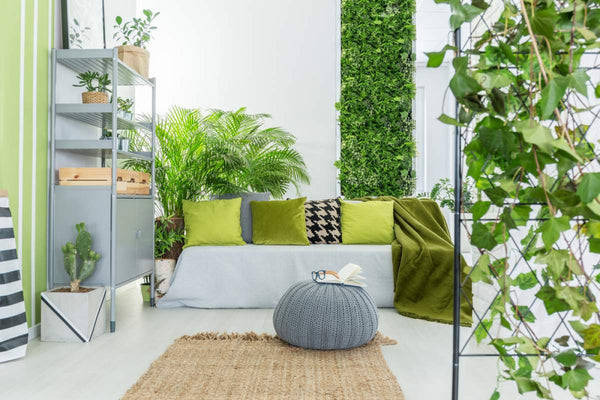 How and Why to Create a DIY Indoor Living Plant Wall